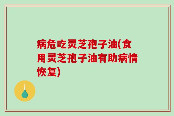 病危吃灵芝孢子油(食用灵芝孢子油有助病情恢复)