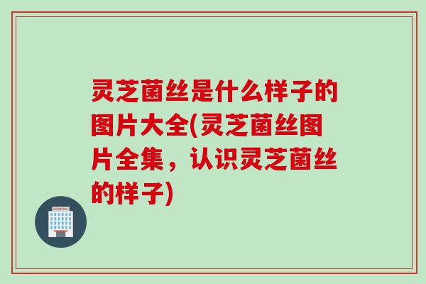 灵芝菌丝是什么样子的图片大全(灵芝菌丝图片全集，认识灵芝菌丝的样子)