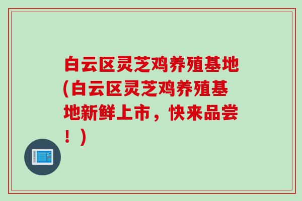 白云区灵芝鸡养殖基地(白云区灵芝鸡养殖基地新鲜上市，快来品尝！)