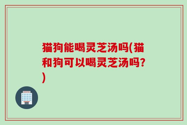 猫狗能喝灵芝汤吗(猫和狗可以喝灵芝汤吗？)