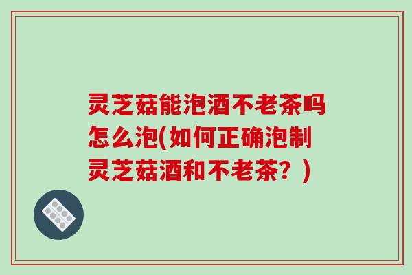 灵芝菇能泡酒不老茶吗怎么泡(如何正确泡制灵芝菇酒和不老茶？)