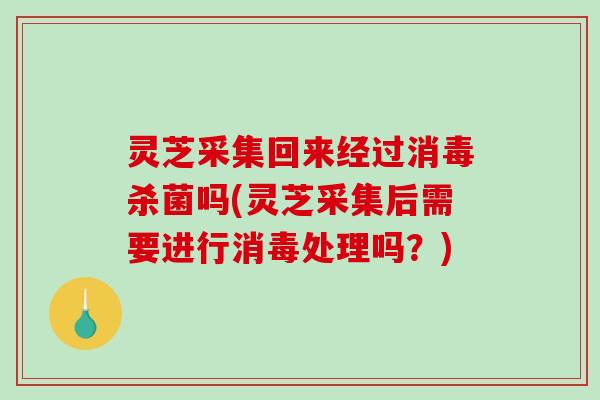 灵芝采集回来经过消毒杀菌吗(灵芝采集后需要进行消毒处理吗？)
