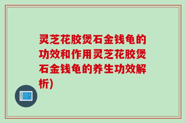 灵芝花胶煲石金钱龟的功效和作用灵芝花胶煲石金钱龟的养生功效解析)