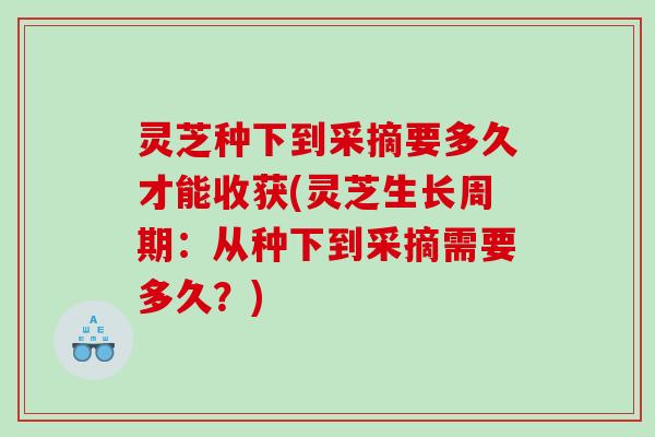灵芝种下到采摘要多久才能收获(灵芝生长周期：从种下到采摘需要多久？)