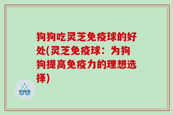 狗狗吃灵芝免疫球的好处(灵芝免疫球：为狗狗提高免疫力的理想选择)