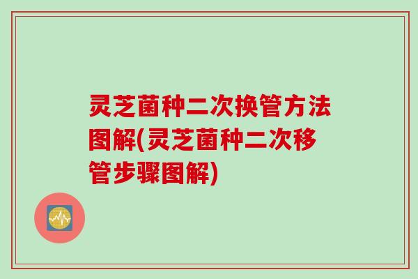 灵芝菌种二次换管方法图解(灵芝菌种二次移管步骤图解)