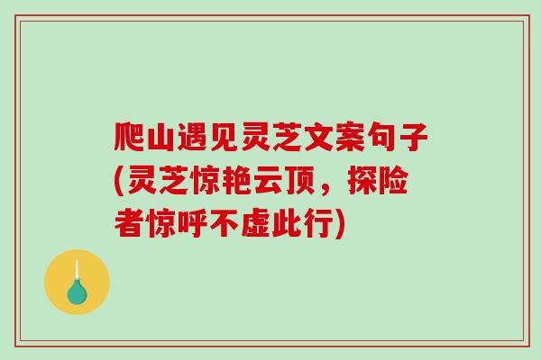 爬山遇见灵芝文案句子(灵芝惊艳云顶，探险者惊呼不虚此行)