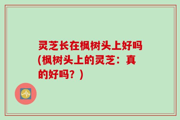 灵芝长在枫树头上好吗(枫树头上的灵芝：真的好吗？)