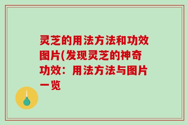 灵芝的用法方法和功效图片(发现灵芝的神奇功效:用法方法与图片一览 灵芝的用法方法和功效图片(发现灵芝的神奇功效:用法方法与图片一览