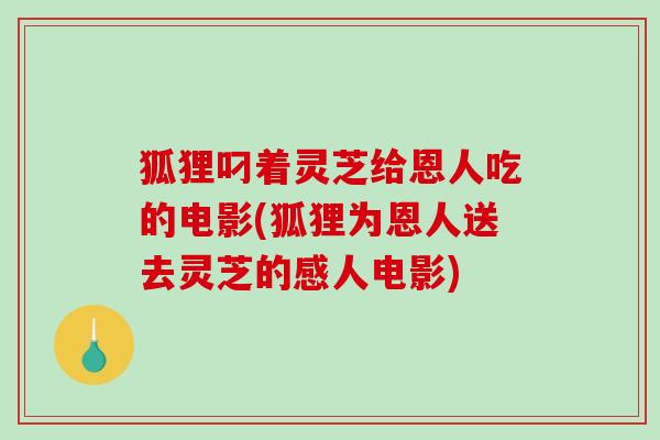 狐狸叼着灵芝给恩人吃的电影(狐狸为恩人送去灵芝的感人电影)