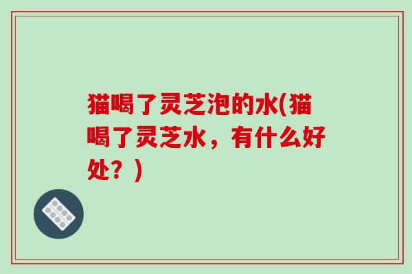 猫喝了灵芝泡的水(猫喝了灵芝水，有什么好处？)