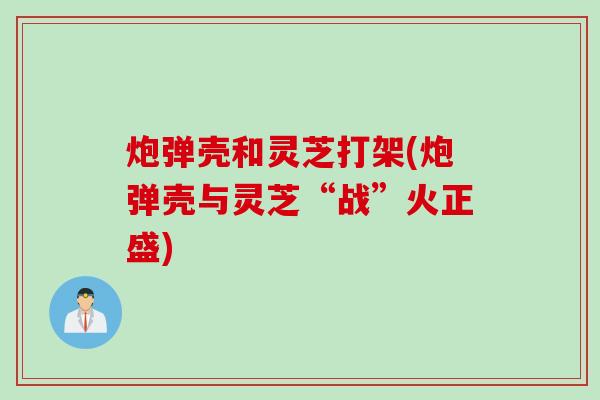 炮弹壳和灵芝打架(炮弹壳与灵芝“战”火正盛)