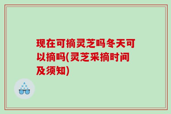 现在可摘灵芝吗冬天可以摘吗(灵芝采摘时间及须知)