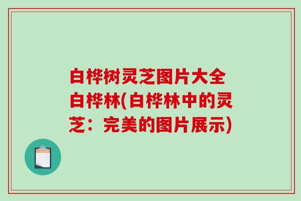 白桦树灵芝图片大全 白桦林(白桦林中的灵芝：完美的图片展示)