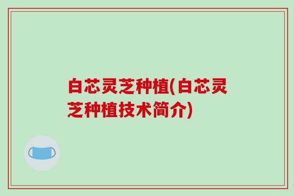 白芯灵芝种植(白芯灵芝种植技术简介)