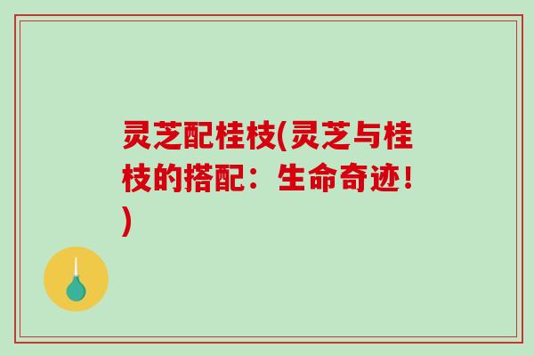 灵芝配桂枝(灵芝与桂枝的搭配：生命奇迹！)
