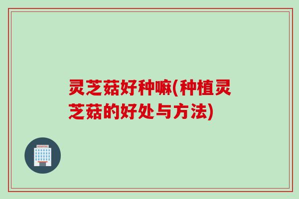 灵芝菇好种嘛(种植灵芝菇的好处与方法)