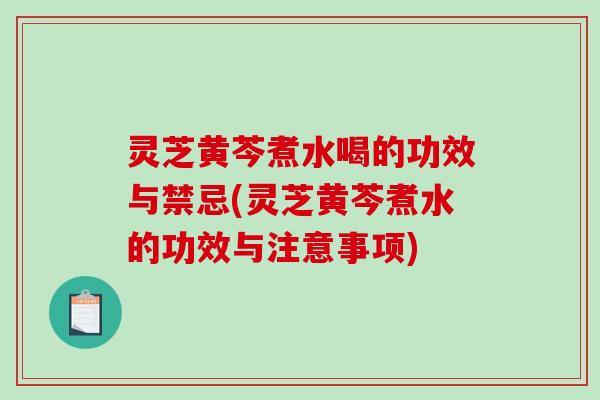 灵芝黄芩煮水喝的功效与禁忌(灵芝黄芩煮水的功效与注意事项)