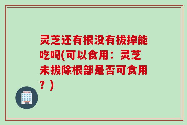 灵芝还有根没有拔掉能吃吗(可以食用:灵芝未拔除根部是否可食用?) 灵芝还有根没有拔掉能吃吗(可以食用:灵芝未拔除根部是否可食用?)
