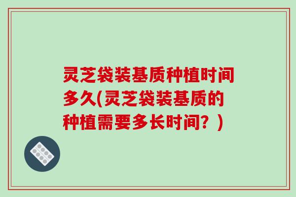 灵芝袋装基质种植时间多久(灵芝袋装基质的种植需要多长时间？)