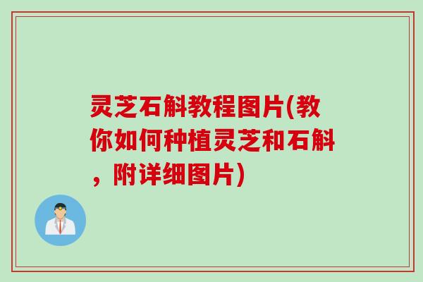 灵芝石斛教程图片(教你如何种植灵芝和石斛，附详细图片)