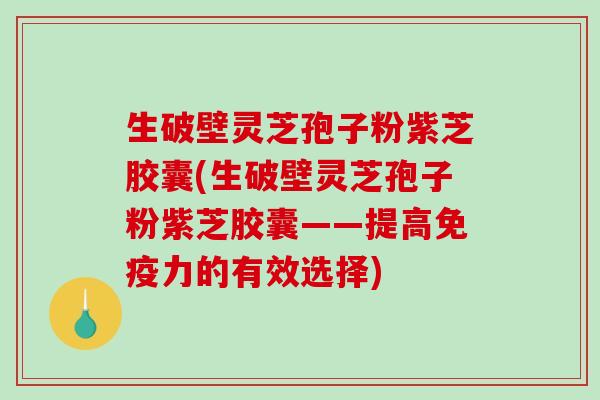 生破壁灵芝孢子粉紫芝胶囊(生破壁灵芝孢子粉紫芝胶囊——提高免疫力的有效选择)