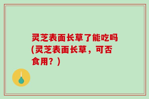 灵芝表面长草了能吃吗(灵芝表面长草,可否食用?) 灵芝表面长草了能吃吗(灵芝表面长草,可否食用?)