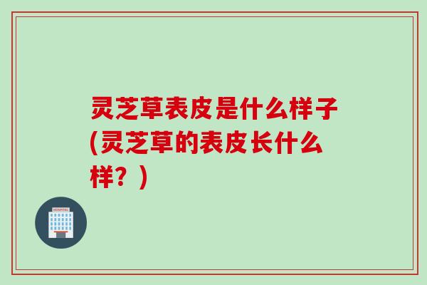 灵芝草表皮是什么样子(灵芝草的表皮长什么样？)