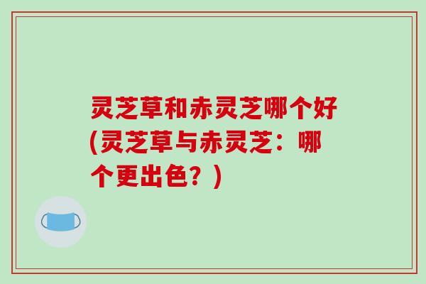 灵芝草和赤灵芝哪个好(灵芝草与赤灵芝：哪个更出色？)