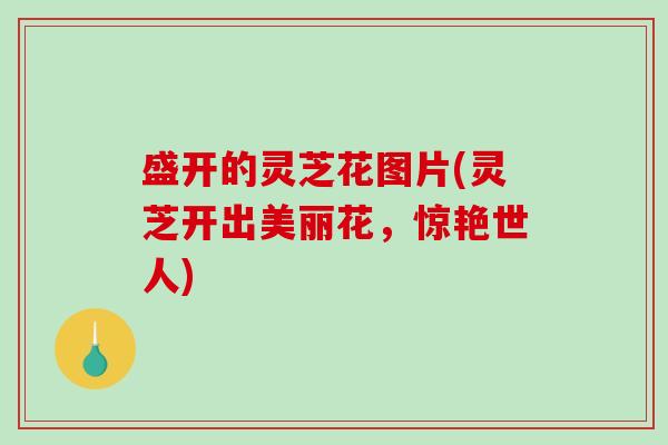 盛开的灵芝花图片(灵芝开出美丽花，惊艳世人)