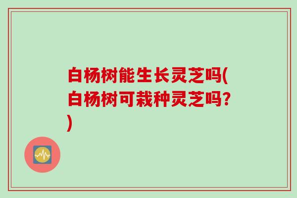 白杨树能生长灵芝吗(白杨树可栽种灵芝吗？)