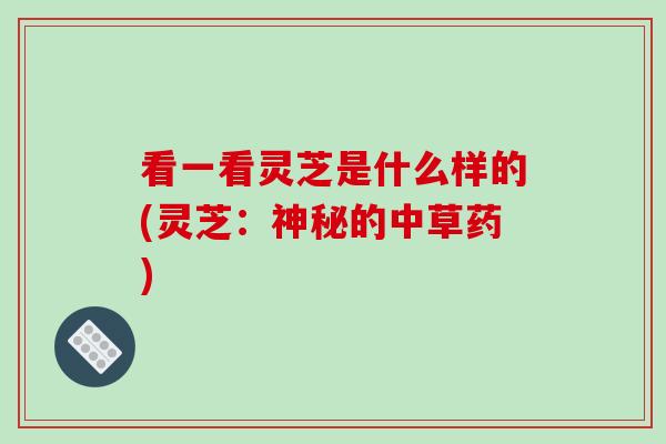 看一看灵芝是什么样的(灵芝：神秘的中草药)