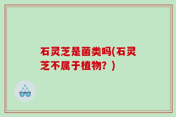 石灵芝是菌类吗(石灵芝不属于植物？)