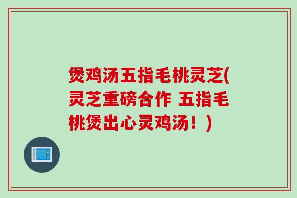 煲鸡汤五指毛桃灵芝(灵芝重磅合作 五指毛桃煲出心灵鸡汤！)