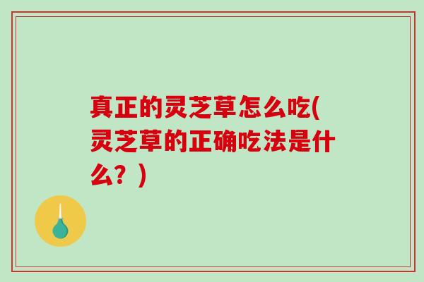 真正的灵芝草怎么吃(灵芝草的正确吃法是什么？)