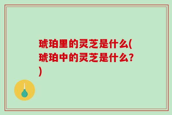 琥珀里的灵芝是什么(琥珀中的灵芝是什么？)