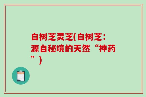 白树芝灵芝(白树芝：源自秘境的天然“神药”)
