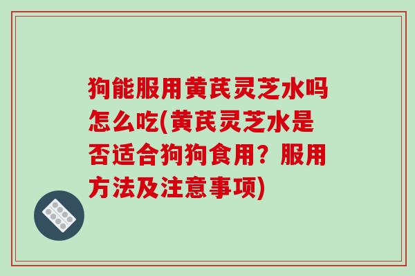 狗能服用黄芪灵芝水吗怎么吃(黄芪灵芝水是否适合狗狗食用？服用方法及注意事项)