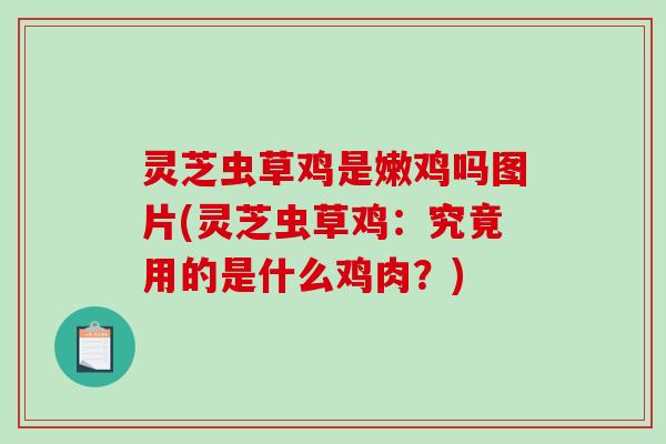 灵芝虫草鸡是嫩鸡吗图片(灵芝虫草鸡：究竟用的是什么鸡肉？)