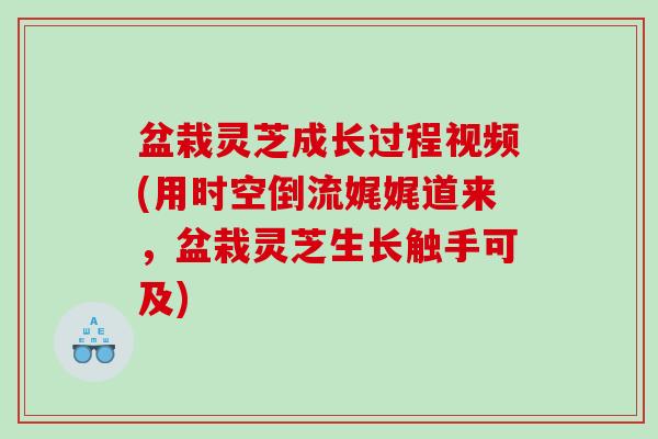 盆栽灵芝成长过程视频(用时空倒流娓娓道来，盆栽灵芝生长触手可及)