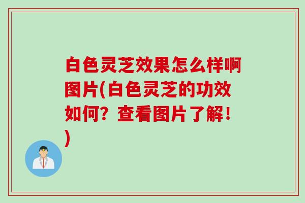 白色灵芝效果怎么样啊图片(白色灵芝的功效如何？查看图片了解！)