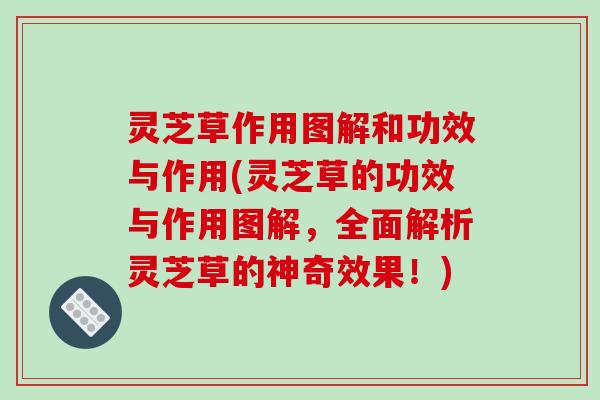 灵芝草作用图解和功效与作用(灵芝草的功效与作用图解，全面解析灵芝草的神奇效果！)