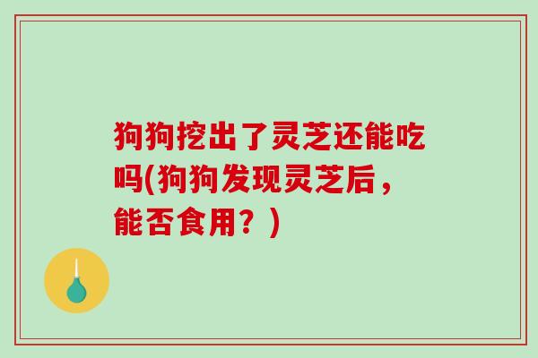 狗狗挖出了灵芝还能吃吗(狗狗发现灵芝后，能否食用？)