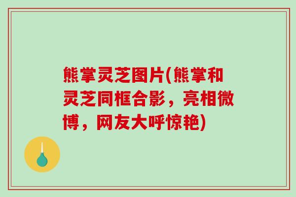 熊掌灵芝图片(熊掌和灵芝同框合影，亮相微博，网友大呼惊艳)