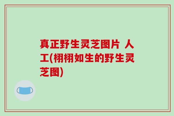 真正野生灵芝图片 人工(栩栩如生的野生灵芝图)
