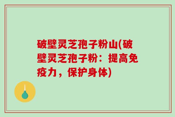破壁灵芝孢子粉山(破壁灵芝孢子粉：提高免疫力，保护身体)