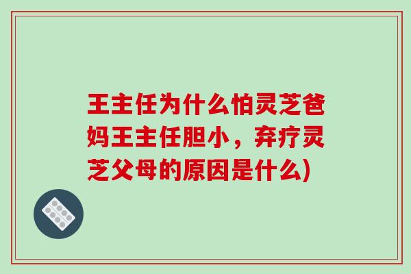 王主任为什么怕灵芝爸妈王主任胆小，弃疗灵芝父母的原因是什么)