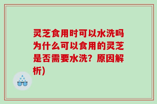 灵芝食用时可以水洗吗为什么可以食用的灵芝是否需要水洗？原因解析)