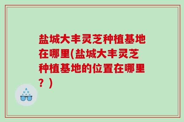 盐城大丰灵芝种植基地在哪里(盐城大丰灵芝种植基地的位置在哪里？)