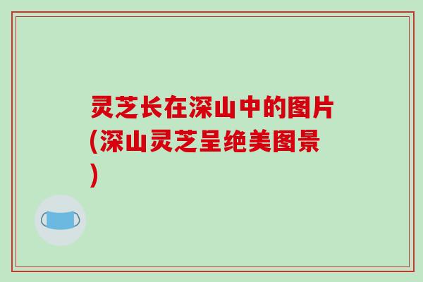 灵芝长在深山中的图片(深山灵芝呈绝美图景)